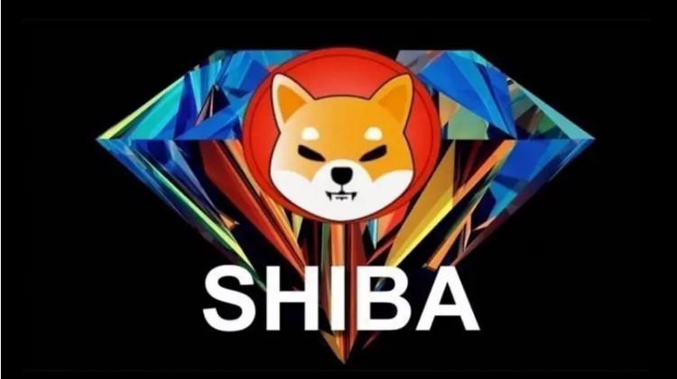 Shiba Inu：1000美元的SHIB到2030年值多少钱?